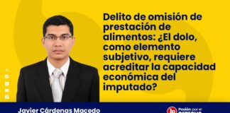 Delito de omisión de prestación de alimentos: ¿El dolo, como elemento subjetivo, requiere acreditar la capacidad económica del imputado?