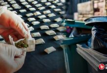 Condenan a traficantes de droga que botaron 1045 kg de marihuana en un contenedor de basura