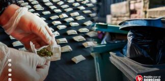 Condenan a traficantes de droga que botaron 1045 kg de marihuana en un contenedor de basura