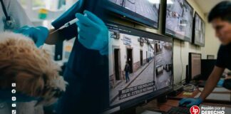 Abren investigación por muerte de perro que habría sido acuchillado dentro de restaurante