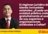 El régimen jurídico de bienes inmuebles estatales: ¿Puede una entidad pública ceder gratuitamente el uso de sus espacios a organizaciones sindicales o Cafae?