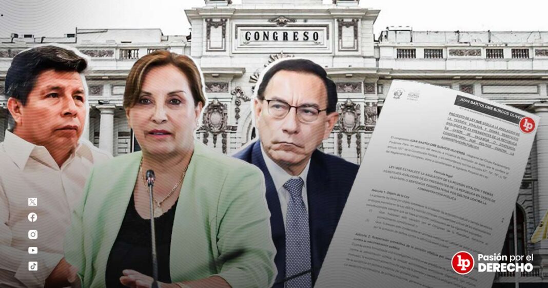 BANNER GENÉRICO VISCARRA-CASTILLO-DINA-LPDERECHO