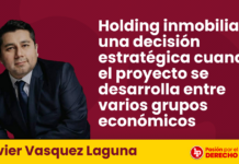 Holding inmobiliaria: una decisión estratégica cuando el proyecto se desarrolla entre varios grupos económicos