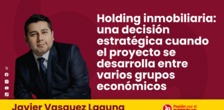 Holding inmobiliaria: una decisión estratégica cuando el proyecto se desarrolla entre varios grupos económicos