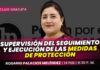 Clase gratuita sobre supervisión del seguimiento y ejecución de las medidas de protección. Llena el formulario para recibir las diapositivas