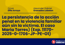 La persistencia de la acción penal en la violencia familiar aún sin la víctima. El caso María Torres) (Exp. 11170-2025-0-1706-JP-PE-O1)