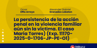 La persistencia de la acción penal en la violencia familiar aún sin la víctima. El caso María Torres) (Exp. 11170-2025-0-1706-JP-PE-O1)