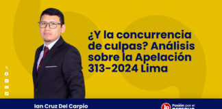 ¿Y la concurrencia de culpas? Análisis sobre la Apelación 313-2024, Lima