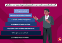 ¿Cuáles son los siete principios de interpretación constitucional?