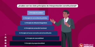 ¿Cuáles son los siete principios de interpretación constitucional?