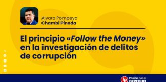 El principio “Follow the Money” en la investigación de delitos de corrupción