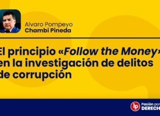 El principio «Follow the Money» en la investigación de delitos de corrupción