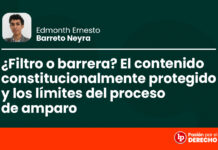 ¿Filtro o barrera? El contenido constitucionalmente protegido y los límites del proceso de amparo