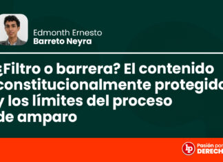 ¿Filtro o barrera? El contenido constitucionalmente protegido y los límites del proceso de amparo