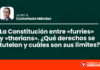 La Constitución entre «furries» y «therians». ¿Qué derechos se tutelan y cuáles son sus límites?