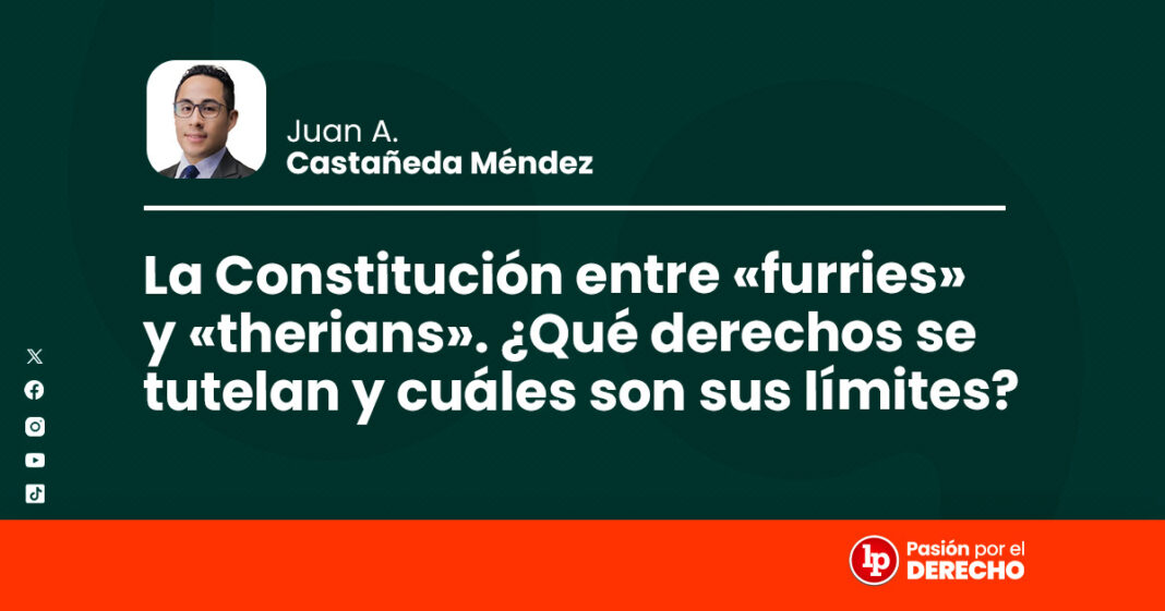 BANNER la constitucion entre furriesy therians-LP