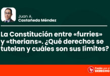 La Constitución entre «furries» y «therians». ¿Qué derechos se tutelan y cuáles son sus límites?