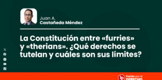 La Constitución entre «furries» y «therians». ¿Qué derechos se tutelan y cuáles son sus límites?