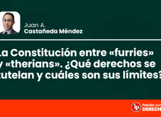 La Constitución entre «furries» y «therians». ¿Qué derechos se tutelan y cuáles son sus límites?