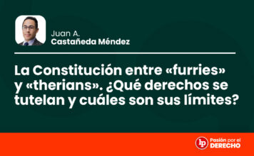 La Constitución entre «furries» y «therians». ¿Qué derechos se tutelan y cuáles son sus límites?