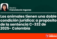 Los animales tienen una doble condición jurídica: a propósito de la sentencia C-332 de 2025 (Colombia)