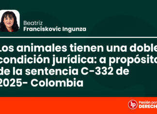 Los animales tienen una doble condición jurídica: a propósito de la sentencia C-332 de 2025 (Colombia)