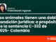 Los animales tienen una doble condición jurídica: a propósito de la sentencia C-332 de 2025 (Colombia)