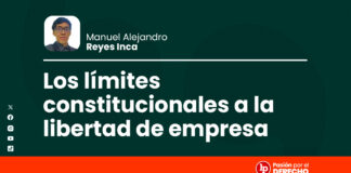 Los límites constitucionales a la libertad de empresa