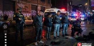 Dictan prisión preventiva para banda que habría intentado exportar cocaína a Europa: estaría liderada por ciudadano albanés