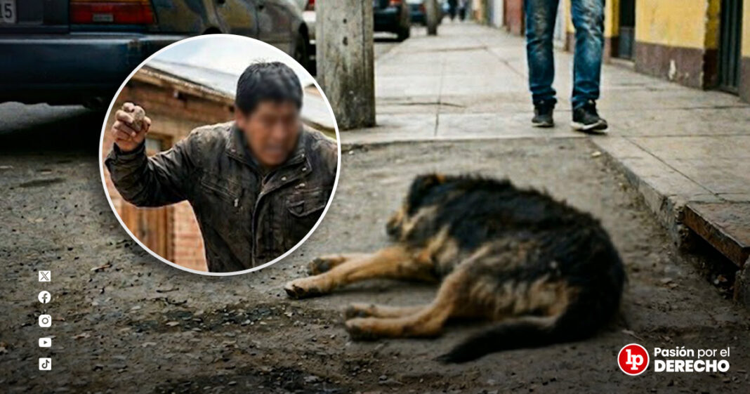 BANNER_maltrato animal_LP