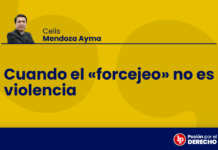 Cuando el «forcejeo» no es violencia