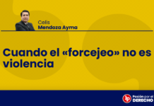 Cuando el «forcejeo» no es violencia