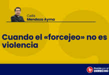 Cuando el «forcejeo» no es violencia