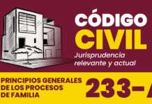 Jurisprudencia del artículo 233-A del Código Civil.- Principios generales de los procesos de familia