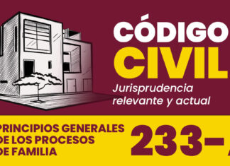 Jurisprudencia del artículo 233-A del Código Civil.- Principios generales de los procesos de familia