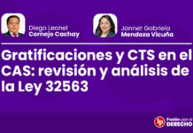 Gratificaciones y CTS en el CAS: revisión y análisis de la Ley 32563