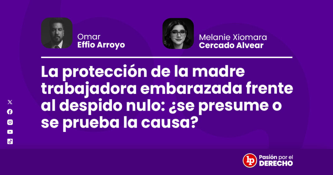 banner autor_la proteccion de la madre trabajadora_LP