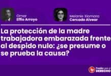 La protección de la madre trabajadora embarazada frente al despido nulo: ¿se presume o se prueba la causa?