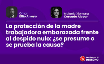 La protección de la madre trabajadora embarazada frente al despido nulo: ¿se presume o se prueba la causa?