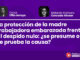 La protección de la madre trabajadora embarazada frente al despido nulo: ¿se presume o se prueba la causa?