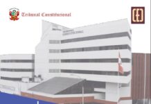 Descarga en PDF el cuaderno de jurisprudencia del TC sobre derecho al libre desarrollo de la personalidad