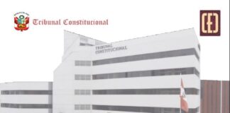 Descarga en PDF el cuaderno de jurisprudencia del TC sobre derecho al libre desarrollo de la personalidad