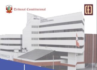 Descarga en PDF el cuaderno de jurisprudencia del TC sobre derecho al libre desarrollo de la personalidad