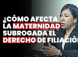 ¿Cómo afecta la maternidad subrogada el derecho de filiación? JNJ entrevista a Ángela Roxana Meléndez Lipa