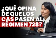 ¿Qué opina de que los CAS pasen al régimen 728? JNJ entrevista a Rocío Liliana Munayco Medina