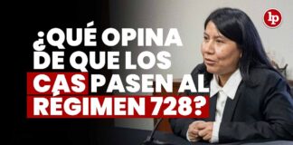 ¿Qué opina de que los CAS pasen al régimen 728? JNJ entrevista a Rocío Liliana Munayco Medina