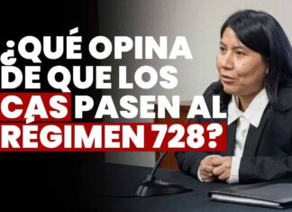 ¿Qué opina de que los CAS pasen al régimen 728? JNJ entrevista a Rocío Liliana Munayco Medina