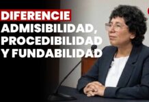 Diferiencie admisibilidad, procedibilidad y fundabilidad: JNJ entrevista a Cristal Helen Sandy Velásquez Fernández
