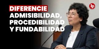 Diferiencie admisibilidad, procedibilidad y fundabilidad: JNJ entrevista a Cristal Helen Sandy Velásquez Fernández