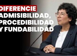 Diferiencie admisibilidad, procedibilidad y fundabilidad: JNJ entrevista a Cristal Helen Sandy Velásquez Fernández